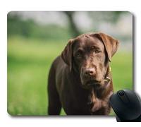 Yanteng Alfombrilla de ratón para Juegos, Perros Mascotas de Cachorros Alfombrillas para ratón, Animales Gatita de Perro Perrito de Golden Retriever Mousepad Rubber YT 021