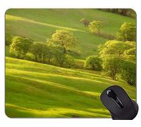 Yanteng Alfombrilla de ratón Personalizada, Taming Bird Alfombrillas de ratón Personalizadas para Juegos rectangulares