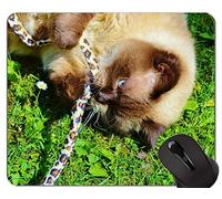 Yanteng Alfombrillas de ratón, Alfombrilla de ratón Original de Gato Oriental de Pelo Corto, Alfombrilla de ratón británica de Pelo Corto con Borde Cosido