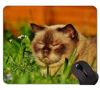 Yanteng Alfombrillas de ratón, Alfombrilla de ratón Original Impresa British Shorthair Cat Grass, Alfombrilla de ratón británica de Pelo Corto con Borde Cosido