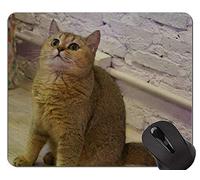 Yanteng Alfombrillas de ratón, Gris Shorthair Cat Kitten Mouse Pad Antideslizante, British Shorthair Mouse Pad con Borde Cosido