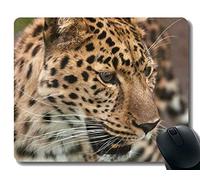 Yanteng alfombrillas para ratón personalizadas, carnívoro gato peligroso alfombrilla antideslizante de goma