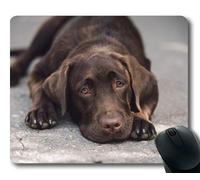 Yanteng Cojín de ratón del Perrito del Perro Mousepad, Animales Perrito del Golden Retriever del Perro del Gatito Mousepad Caucho YT 007