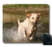 Yanteng Cojín de ratón del Perrito del Perro Mousepad, Animales Perrito del Golden Retriever del Perro del Gatito Mousepad Caucho YT 015