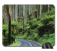 Yanteng Cojín de ratón Fino y Durable del Borde de la Costura, Camino a través de la Selva, cojín de ratón de Australia, cojín de ratón (cojín de ratón de los bosques)