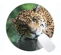 Yanteng Cojín de ratón Redondo con la Cabeza de la Selva del Leopardo cojín de ratón Redondo Modificado para requisitos particulares