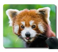Yanteng Gaming Mouse Pad con borde cosido, crema, mirada fija, vida silvestre, pequeño panda, alfombrilla para ratón, base de goma antideslizante, alfombrilla para computadora portátil, computadora