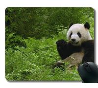 Yanteng Gaming Mouse Pad con Borde Cosido, Doble Panda de bambú Panda Gigante Animal Lindo, Alfombrilla de ratón, Base de Goma Antideslizante para computadora portátil, computadora