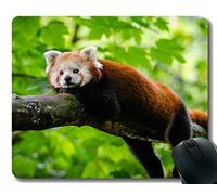 Yanteng Gaming Mouse Pad con Borde Cosido, Gatito Little Panda desenfoque, Alfombrilla para ratón, Base de Goma Antideslizante, Alfombrilla para computadora portátil, computadora