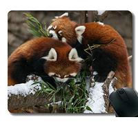 Yanteng Gaming Mouse Pad con Borde Cosido, reconocimiento Zoo Little Panda Chicago, Alfombrilla para ratón, Base de Goma Antideslizante para computadora portátil, computadora