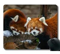 Yanteng Gaming Mouse Pad con Borde Cosido, zoológico Little Panda Chicago para Mujeres, Alfombrilla para ratón, Base de Goma Antideslizante para computadora portátil, computadora