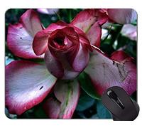 Yanteng Gaming Mouse Pad Custom, Funny Bird Personalized Rectangle Gaming Mouse Pads