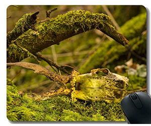 Yanteng Gaming Mouse Pad Custom, Skeleton Nature Madera árbol Musgo Mouse Pad