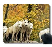 Yanteng Gaming Mouse Pad Custom, Wildlife Animal Forest Lobo otoño Antideslizante Gaming Mouse Pad