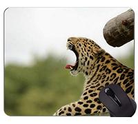 Yanteng Gaming Mouse Pad, Leopard Cat Family Leopard Mouse Pads
