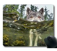 Yanteng Mouse Pad, Water Wolf Rubber Gaming Mouse Pad (Multicolor)