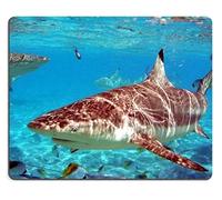 Yanteng Mouse Pads MP1874 Animal Wildlife Shark Marine Ocean Sea Predator Mouse Pads Personalizado Hecho por encargo Soporte Ready Eco Friendly Cloth con goma de neopreno Mouse Pad Escritorio Mousepad