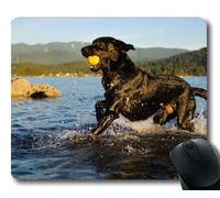 Yanteng Perrito del Perro Alfombrilla De Ratón Mousepad, Animales Perrito del Gatito Perrito del Golden Retriever Mousepad Caucho YT 011