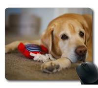 Yanteng Perro Puppy Mousepad Mousepad, Animales Gatito Perro Golden Retriever Puppy Mousepad Caucho YT 039