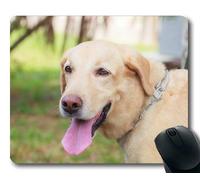 Yanteng Perro Puppy Mousepad Mousepad, Animales Gatito Perro Golden Retriever Puppy Mousepad Caucho YT 019