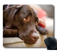 Yanteng Perro Puppy Mousepad Mousepad, Animales Gatito Perro Golden Retriever Puppy Mousepad Caucho YT 035