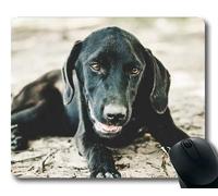 Yanteng Perro Puppy Mousepad Mousepad, Animales Gatito Perro Golden Retriever Puppy Mousepad Rubber YT 027