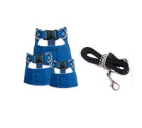 yanwuwa Emotional - Correa de ardilla con arnés de animal, color azul | Cómoda correa de pecho con arnés transpirable para animales pequeños que caminan al aire libre exploración peso ligero