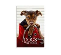 YANXIAOYUOZDS Póster de película A Dog's Way Home, decoración estética para pared, 30 x 45 cm, estilo 21