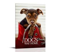 YANXIAOYUOZDS Póster de película A Dog's Way Home, decoración estética para pared, 30 x 45 cm, marco estilo 21