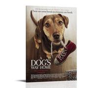YANXIAOYUOZDS Póster de película A Dog's Way Home, póster de la habitación, decoración estética, arte de pared, 20 x 30 cm, marco estilo 24
