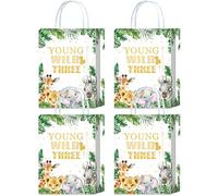 YanZonic 16 bolsas de recuerdo de fiesta de Young Wild y tres decoraciones de fiesta, jóvenes salvajes y tres decoraciones para fiestas salvajes y tres celebraciones