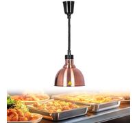 YAOYAOO Lampara de Calor para Alimentos, Extensible Lampara de Calor para Cocina, Lampara de Calentamiento de Comida con Bombilla de 250W para Catering Hosteleria Buffet(D-25CM,1 Stück)
