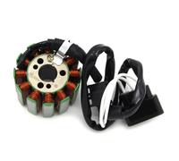 YAQEMOE Bobina Magneto Moto Compatible con Yamaha para FZ8 para FZ8-N para FZ8-NA para FZ8-SA 2011 2012 2013 Accesorios De Bobina De Estator De Generador De Motocicleta
