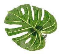 Yardenfun Abrazadera para Cortina Hoja de Monstera Verde de Plástico