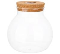 Yardenfun Botella Ecológica de Vidrio de Borosilicato Cilíndrica para Micropaisaje con Luz LED Botella de Vidrio Transparente para Pecera Decorativa y Acuario Adecuado para
