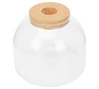 Yardenfun Micro Paisaje Botella Ecológica de Vidrio con Tapón de Corcho Recipiente Decorativo Compacto para Hogar y Oficina Frasco para Plantas y Decoración Ambiental