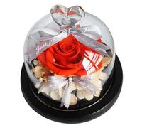 Yardenfun Rosa Preservada en Cúpula de Cristal para Decoración del Hogar y Obsequio Romántico del Día de San Valentín Flor Eterna en Tamaño Pequeño Color Aleatorio Adorno Color Aleatorio