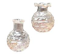 Yardwe 2 Piezas Mini Florero Adornos En Miniatura Juguetes De Colección En Miniatura Adornos De Mini Jarrones Decoración De Mini Jarrones Mini Juguetes De La Casa Transparent El Plastico