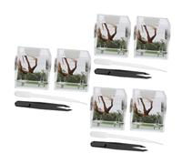 Yardwe 6 Juegos De Caja De Cría De Araña Saltadora Portador De Araña Hábitat De Araña Portador De Insectos Contenedor De Araña De Insectos Hábitat De Insectos Accesorios para
