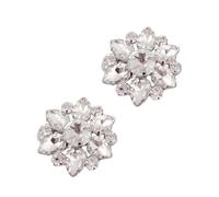 Yardwe Clips Delicados Para Zapatos Cristales De Imitación Plateados, Hebillas Metálicas Decorativas Para Mujer, Accesorios De Joyería Para Bodas y Fiestas, Par Único Ajustable