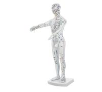Yardwe Modelo de Acupuntura Humano white de Plástico Visualización de Meridianos y Guía de Ubicación de Puntos para Profesionales y Aulas