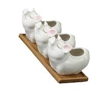 YARNOW 1juego Maceta Decorativa Cerámica Piggy para Suculentas Adorable Contenedor De Plantas para Oficina Y Hogar para Decoración De Escritorio Y DIY