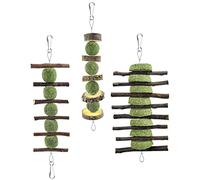 YARNOW 3piezas Bocadillos De Rama De Manzana para Mascotas Juguetes para Masticar Orales Juguetes para Morder para Conejos para Cobayas