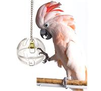 YARNOW 3piezas Juguetes para Alimentación De Aves De Balones para Alimentación y Caja para Periquitos y para Diversión y Estímulo Mental