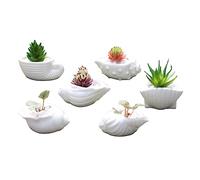 YARNOW 6 Piezas Maceteros Miniplantas Suculentas Plantas Decorativas Jardineras Decorativas Macetero En Forma De Caracola Maceta Olla Pequeña