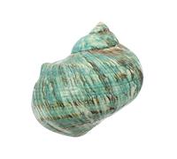 YARNOW Conchas Marinas Grandes Naturales Verdes Decoración para Acuarios Artesanía Ecológica Adornos para Peceras Manualidades Temática Oceánica