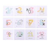 YARNOW Pegatinas Mensuales para Recién Nacidos 1-12 Meses, Juego de 12 Unidades Diseño de Animales Encantadores, Etiquetas Adhesivas para Fotos de Ñiño y Recuerdo del Primer Año