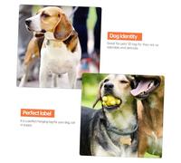 YARNOW Placa de Identificación para Perro de Acero Inoxidable Diseño Hueso y Pata Hueca Unidades Doradas Resistente y Grabada Accesorio para Collar Personalizado