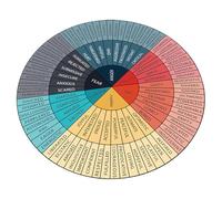YARNOW Rueda Emocional Adhesiva de Vinilo para Terapia y Educación, Gráfico de Emociones para Trabajadores Sociales y Ambientes Escolares