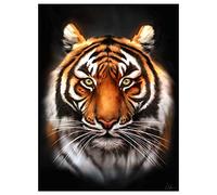 Yarryuter Kit de Pintura de Diamantes 5D DIY para Adultos Kit de Arte de Diamantes, Pintura con Bordado de Diamantes, Punto de,